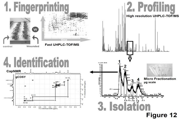 Handbook of Advanced Chromatography / Mass Spectrometry Techniques - Chapter 1 Figure 12